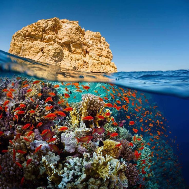 Egypt Tours Red Sea Egypt